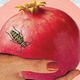 Image for article titled The Beautiful Bureaucrat Is an Utterly Nightmarish Literary Masterpiece